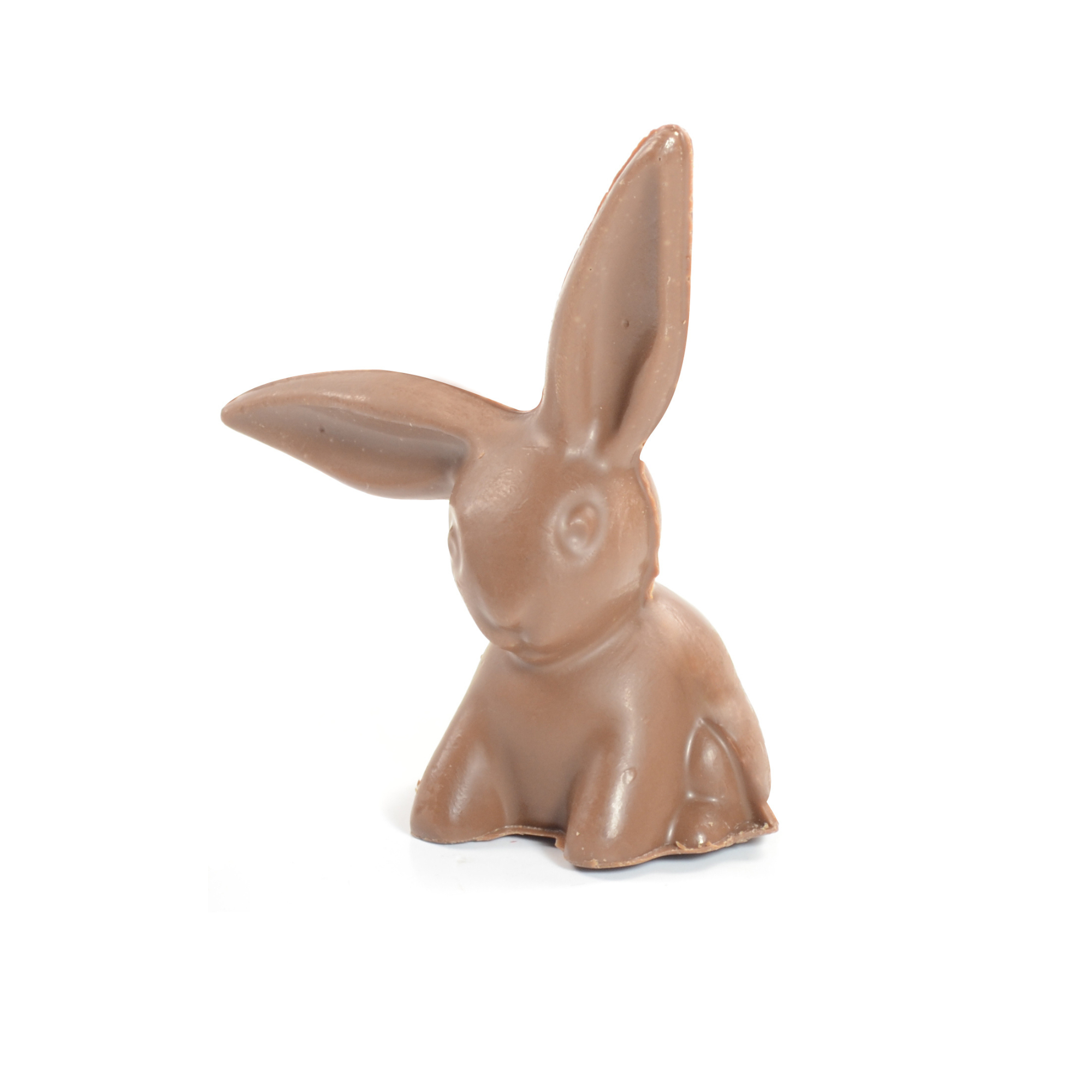 Chocolate Bunny