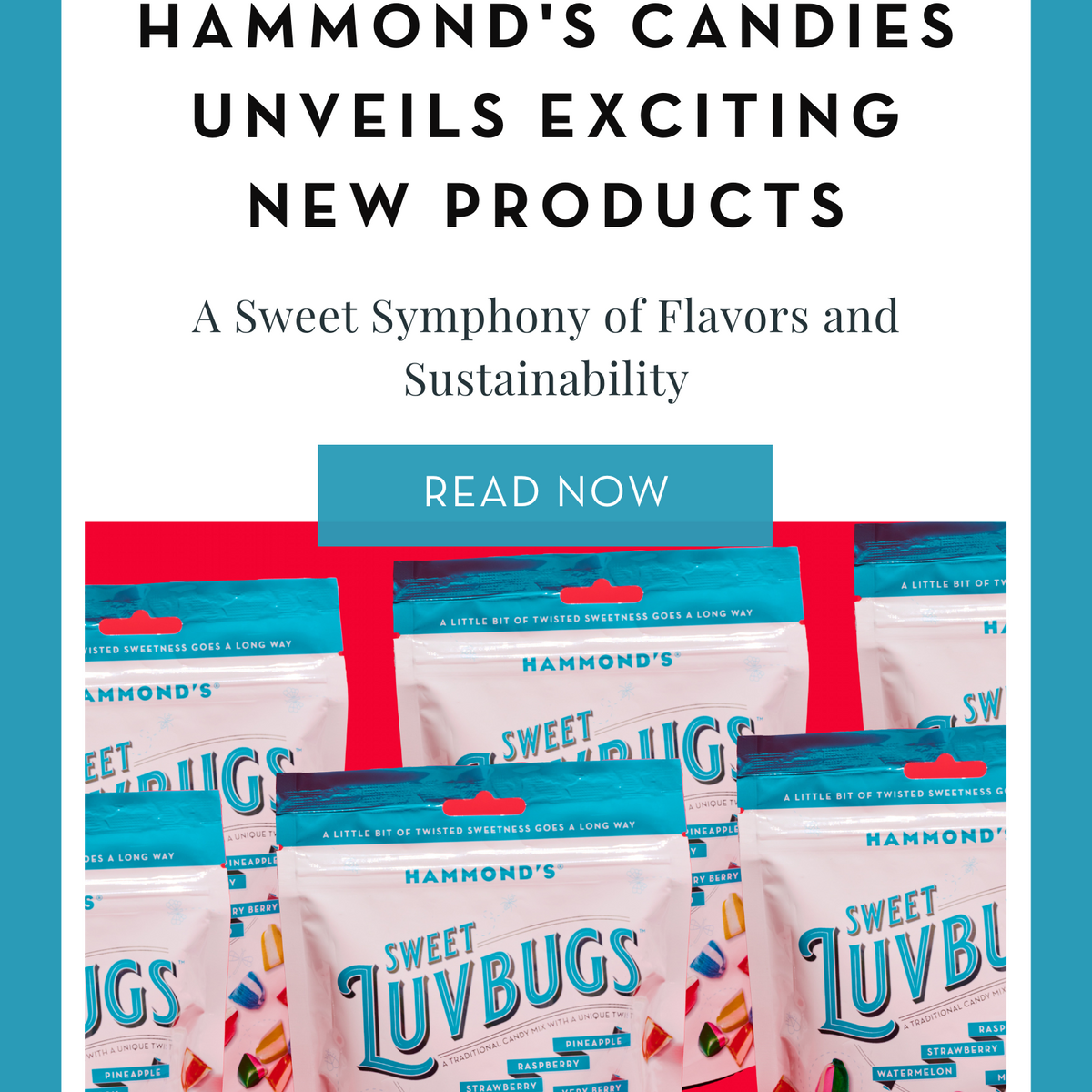 Hammond's Candies Unveils Exciting New Products - A Sweet Symphony of