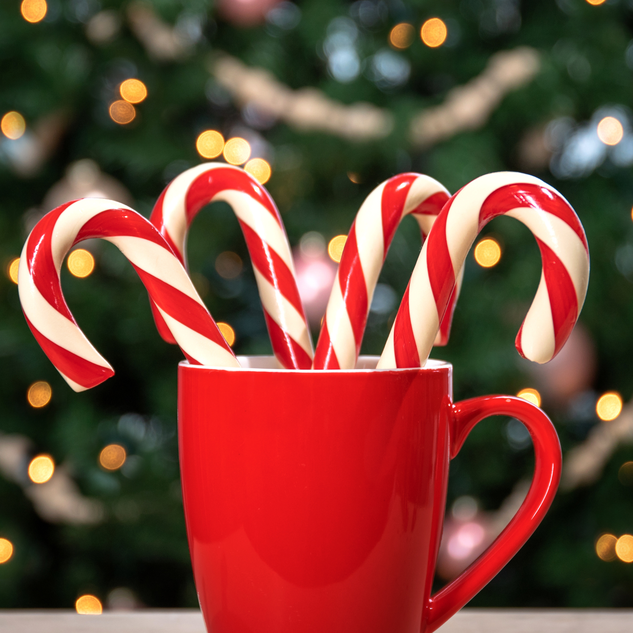 Peppermint Candy Canes