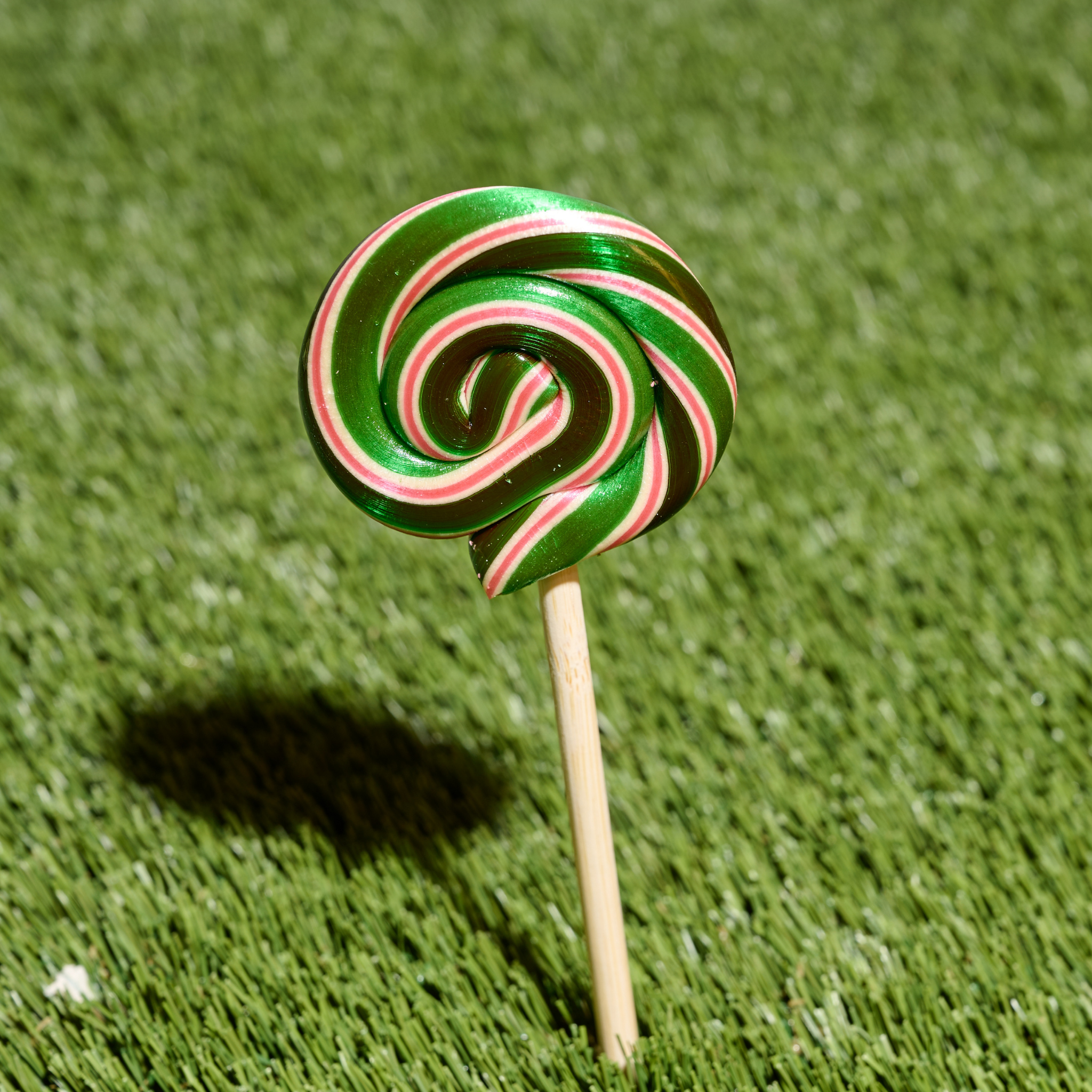 Watermelon Lollipops