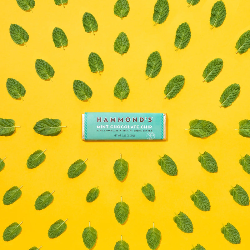 Mint Chocolate Chip Chocolate Candy Bar Glamour Shot